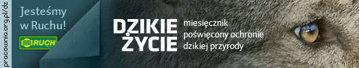 http://pracownia.org.pl/dzikie-zycie