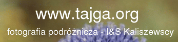 http://www.tajga.org/