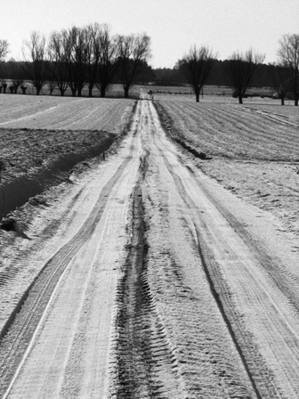 Harmonie za kulisami Przegldu Kapel w Lelisie na Kurpiach, padziernik 2007 fot.:Bartosz Niedwiecki